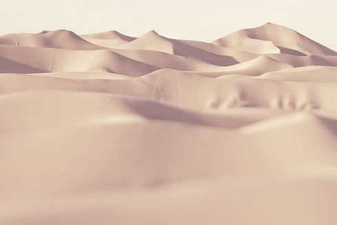 hasan-almasi-nKNm_75lH4g-unsplash Copy.j